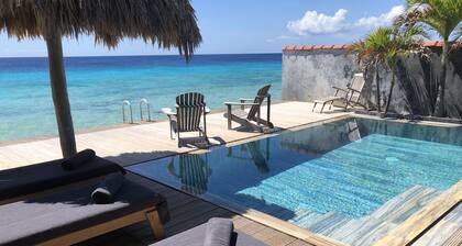 INCLUSIV Pickup Truck! Design Beachhouse - Ocean access/own reef, fiber internet