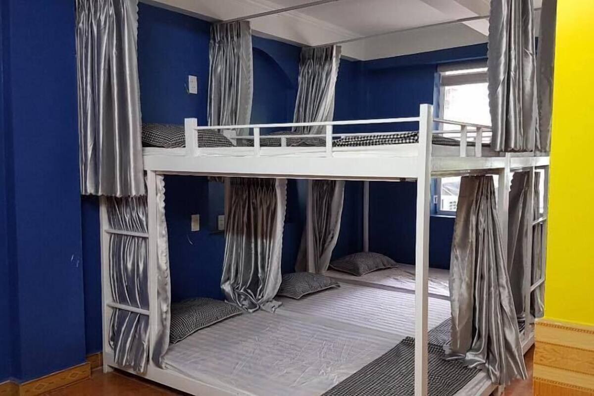 Dortoir Partagé, dortoir mixte (Bed in 12-Bed)