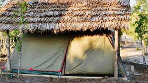 Tent | Teres/patio