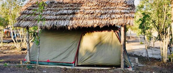 Una cabaña con techo de paja y pared de lona, rodeada de árboles.