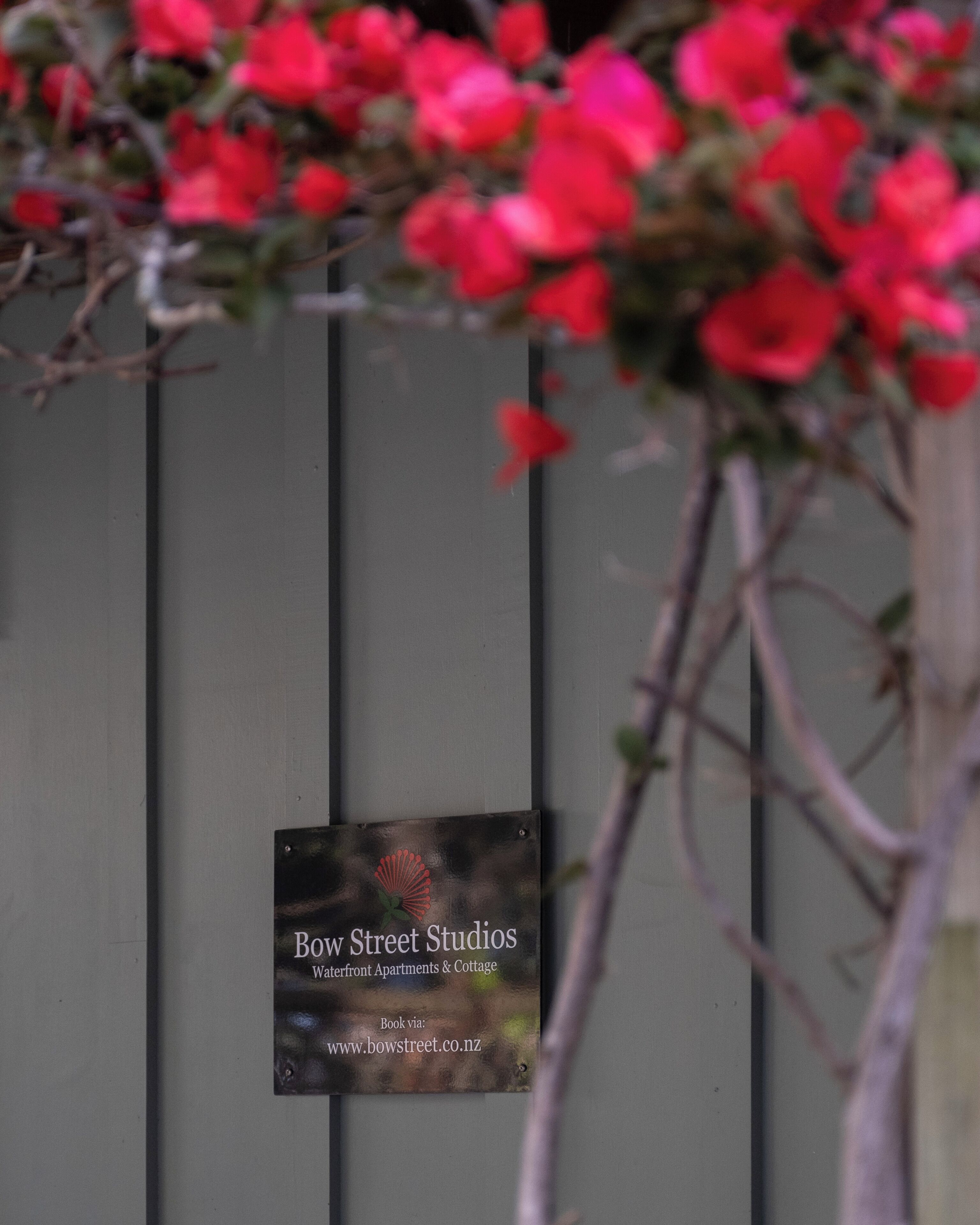 A sign for Bow Street Studios, indicating it is a waterfront apartment and cottage.