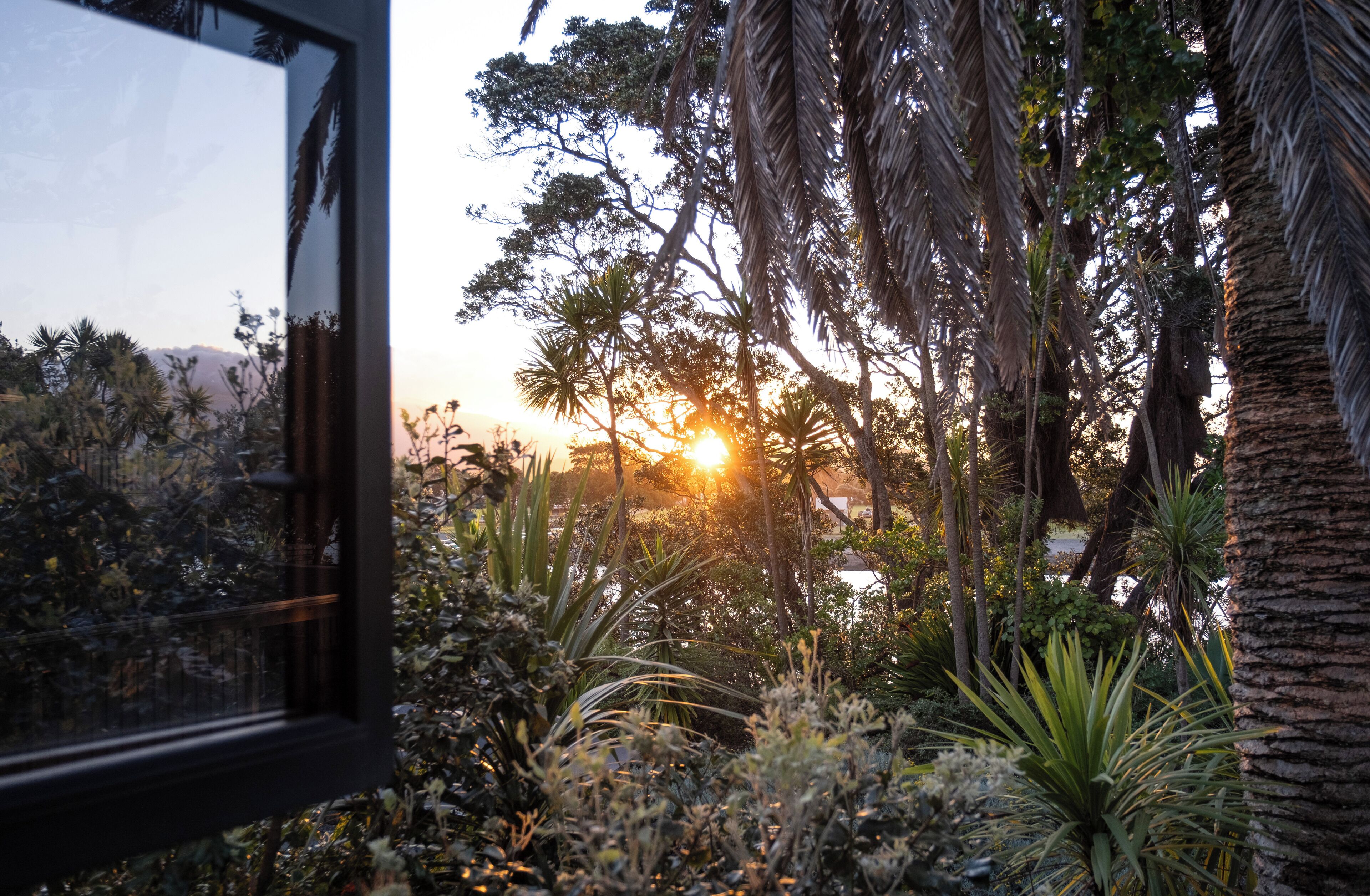 A garden with various plants and trees, a window reflecting the scene, and the sun setting in the background.