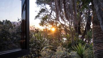 A garden with various plants and trees, a window reflecting the scene, and the sun setting in the background.