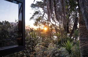 A garden with various plants and trees, a window reflecting the scene, and the sun setting in the background.