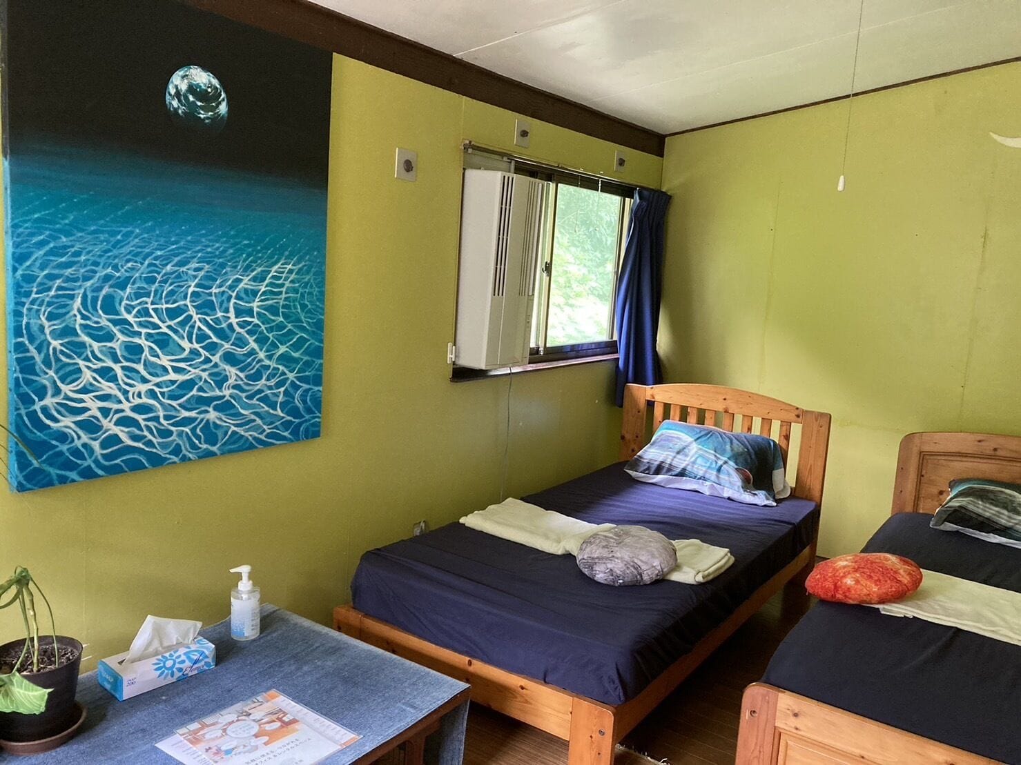 Een kamer met twee bedden, een raam met gordijnen, een wanddecoratie, een kleine tafel met een plant, en een fles handdesinfecterend middel.