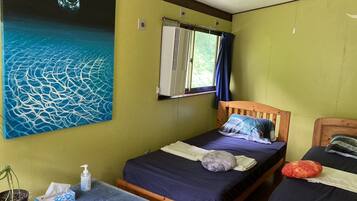 Een kamer met twee bedden, een raam met gordijnen, een wanddecoratie, een kleine tafel met een plant, en een fles handdesinfecterend middel.