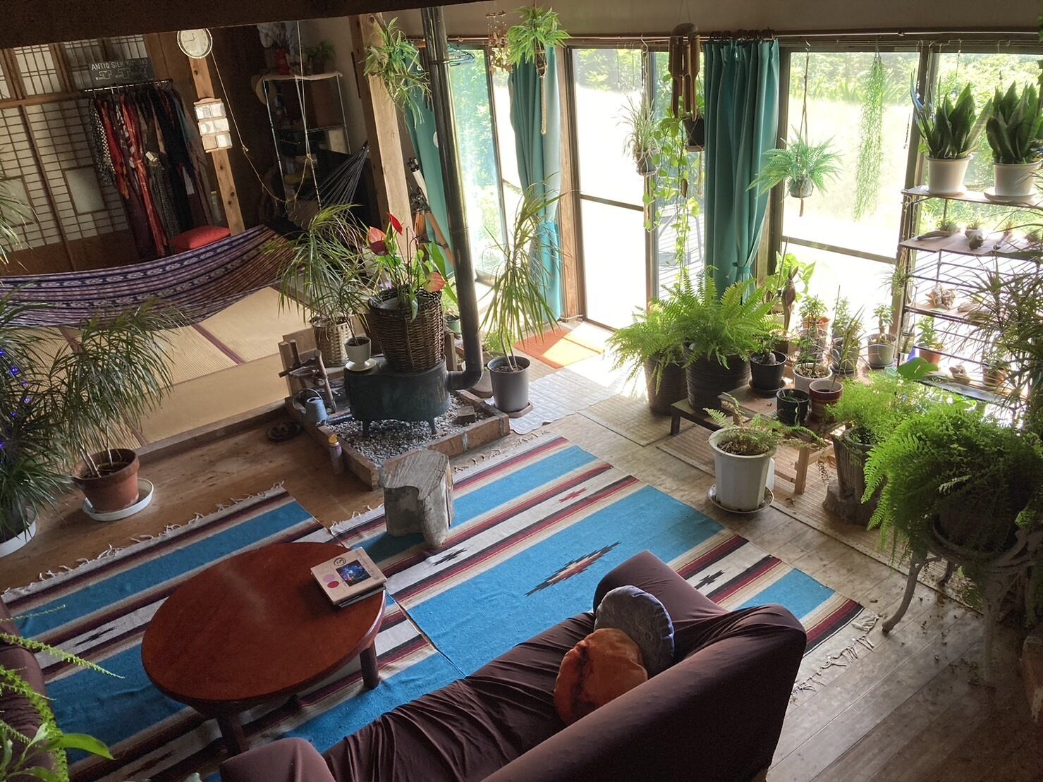 A cozy living room with a hammock, a sofa, and various potted plants.