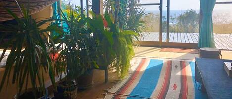Una habitación con un ventanal grande, una hamaca y varias plantas en macetas.