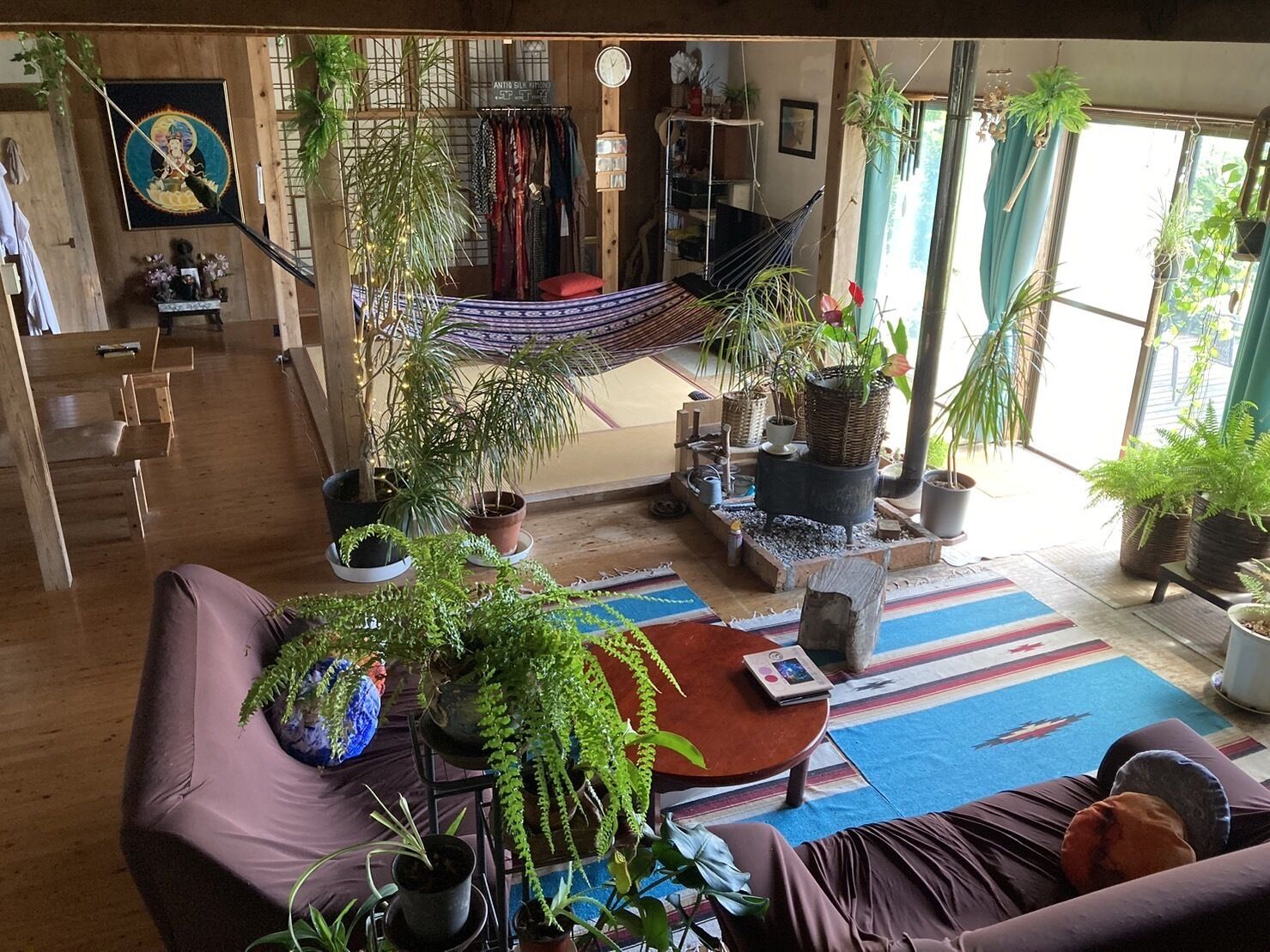 Een gezellige woonkamer met een hangmat, verschillende potplanten, een houten vloer en een kleurrijk vloerkleed.