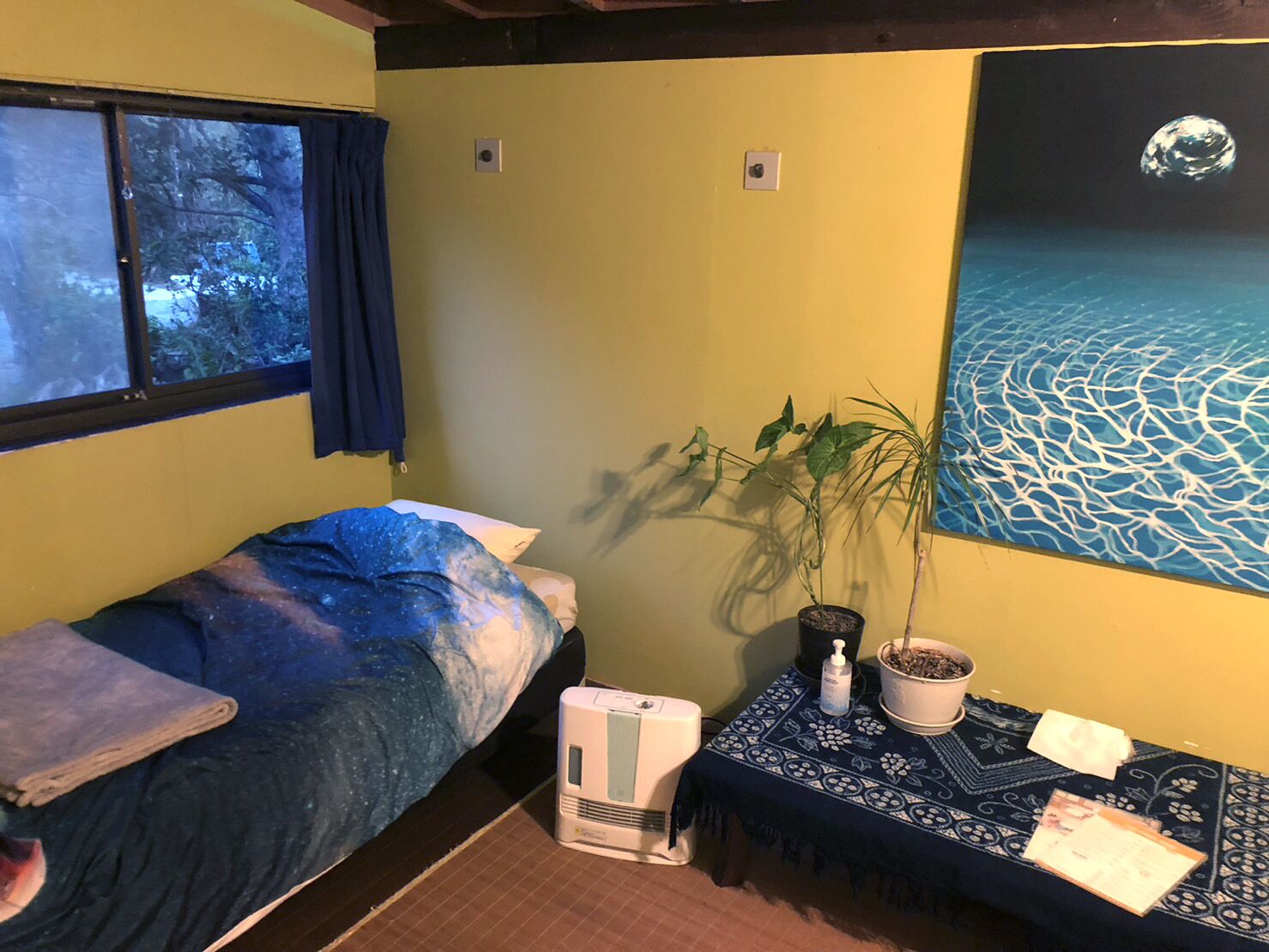 A small room with a bed, a heater, a table with a plant, and a painting of a planet.