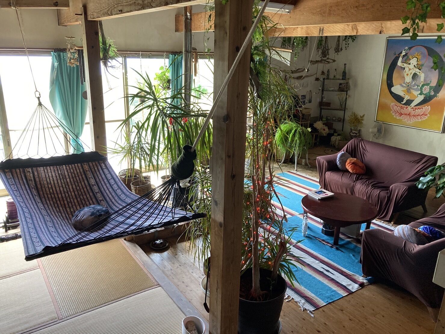 A cozy living room with a hammock, a brown sofa, and various plants.