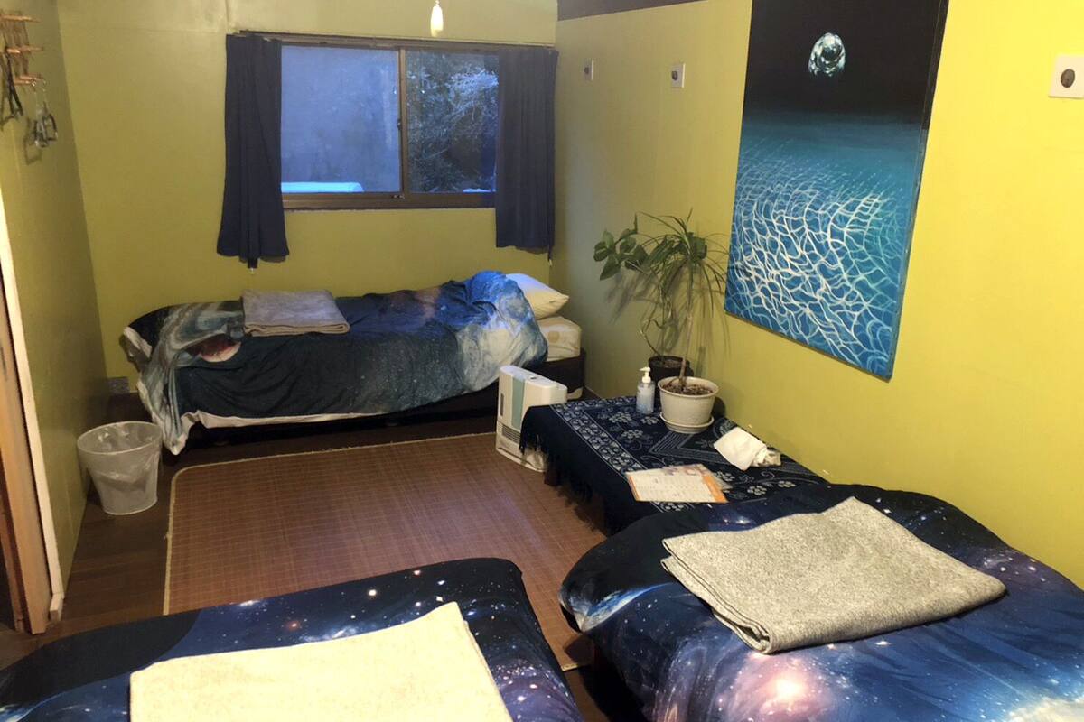 A small, cozy room with two beds, a window, a potted plant, and a wall art piece.