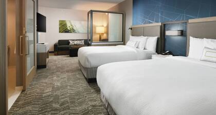 SpringHill Suites by Marriott Dallas DFW Airport South/CentrePort