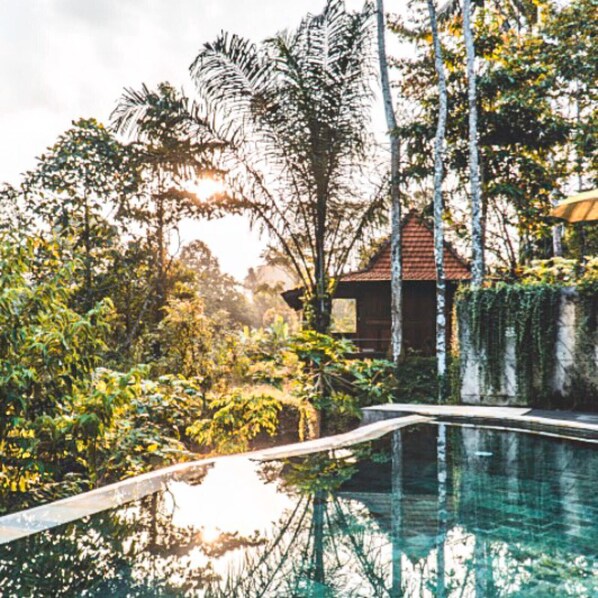 Garden - The Jungle Villa (Ubud)