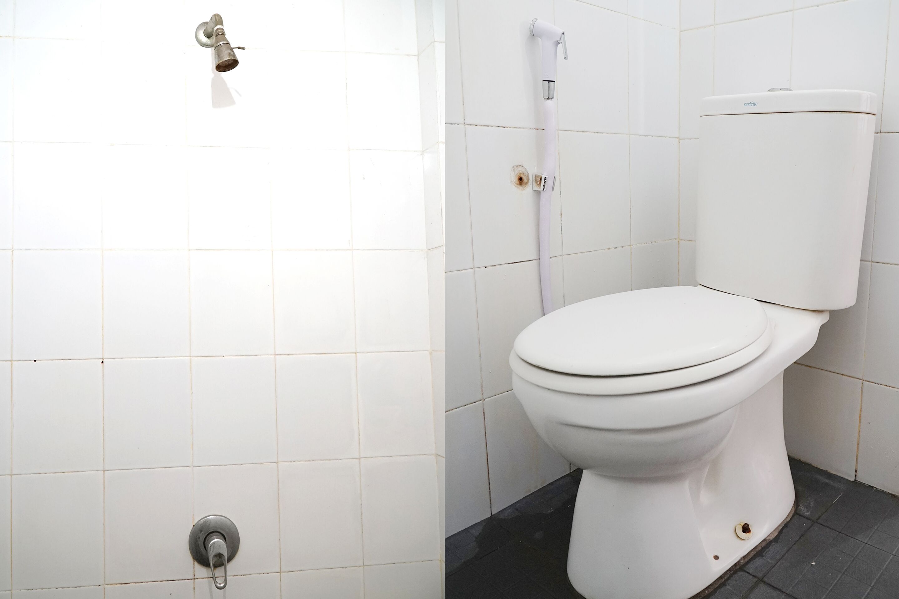 standard double room | bathroom | shower, towels