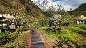 A pathway leading to a mountainous area with tents and trees. - Banjara Camp and Retreat Sangla (Sangla)