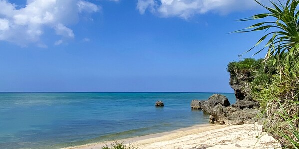 Beach/ocean view - Akabana inn (Nakijin)