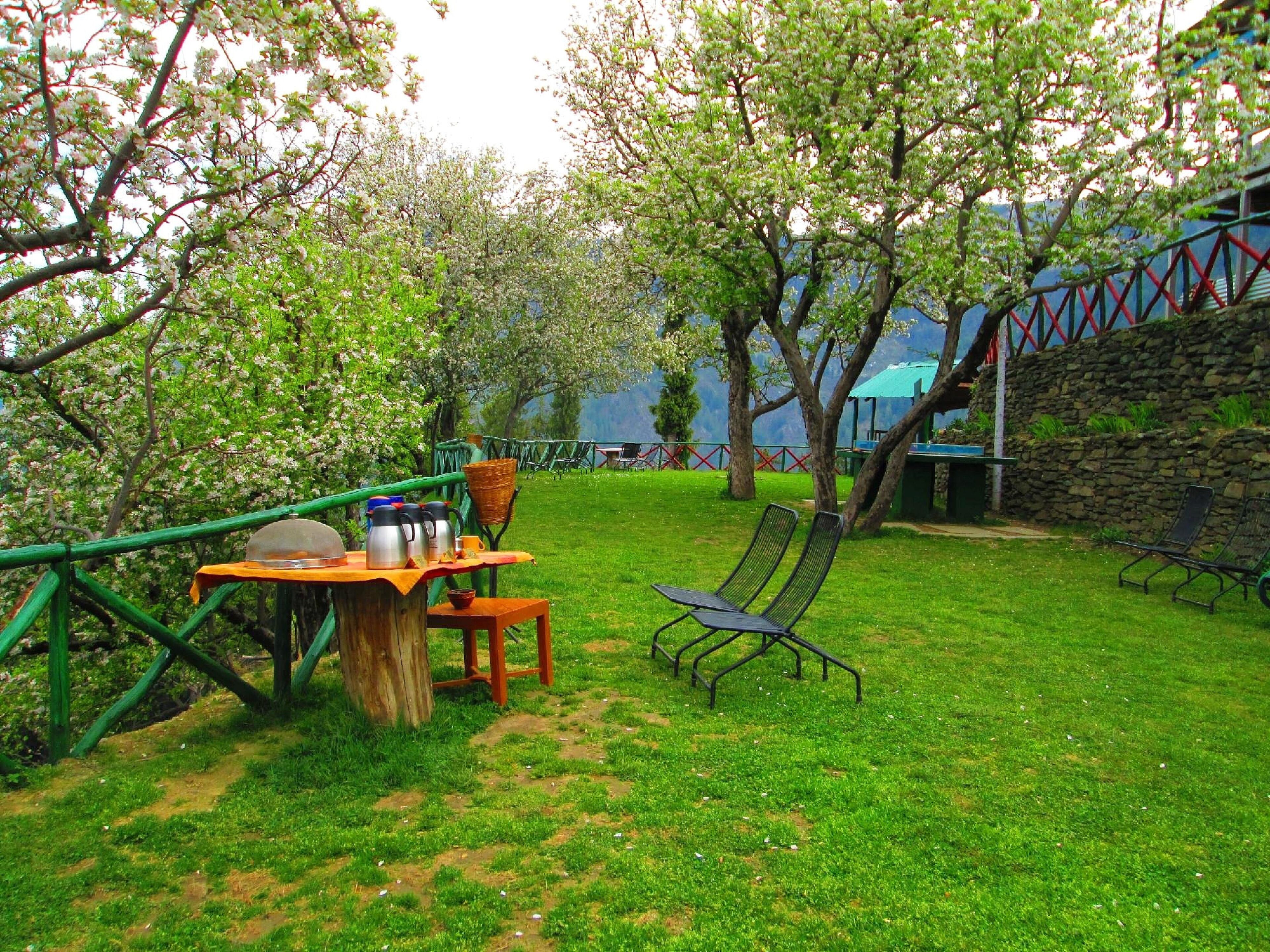 Opções para refeição ao ar livre