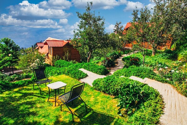Ảnh chưa phân loại, 1 trong số 51 ảnh, nút