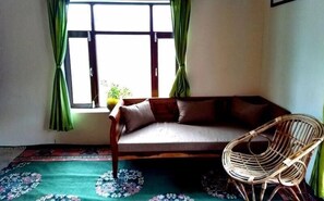 Deluxe Double Room | Living room