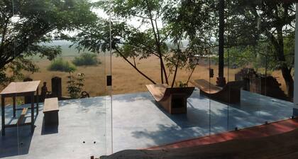 Seclude Falling Cashews