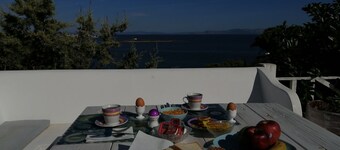 Aéroport Artemis Villa