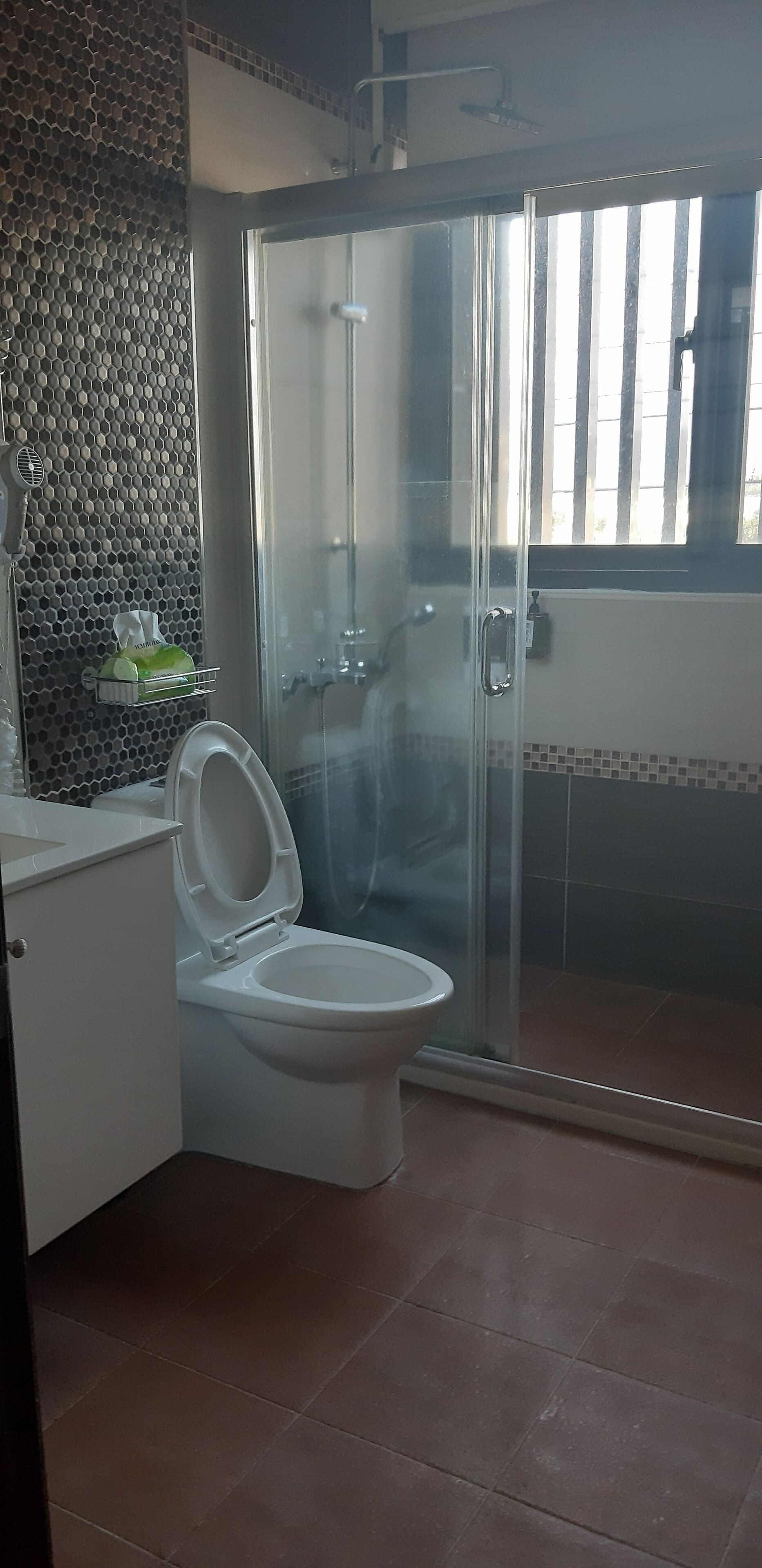 A bathroom with a toilet, shower, and a tiled wall.