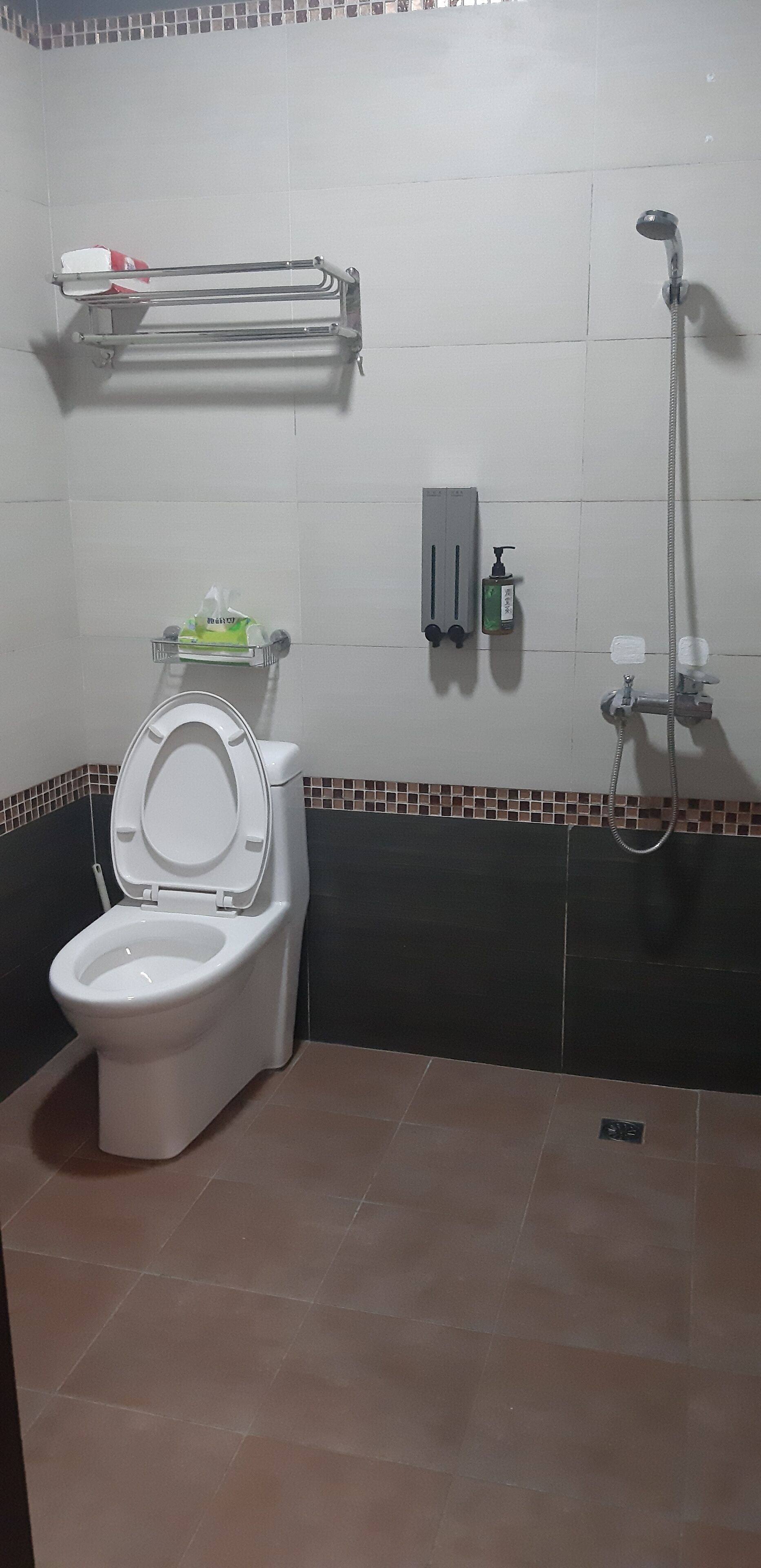 Une salle de bain équipée de toilettes, d’une douche et d’un distributeur de savon fixé au mur.