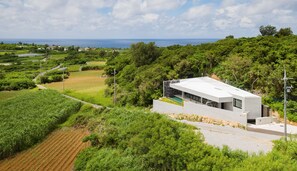 Una casa moderna con piscina, rodeada de exuberante vegetación y vistas al océano.