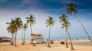 Una playa con palmeras, un puesto de salvavidas y gente disfrutando.