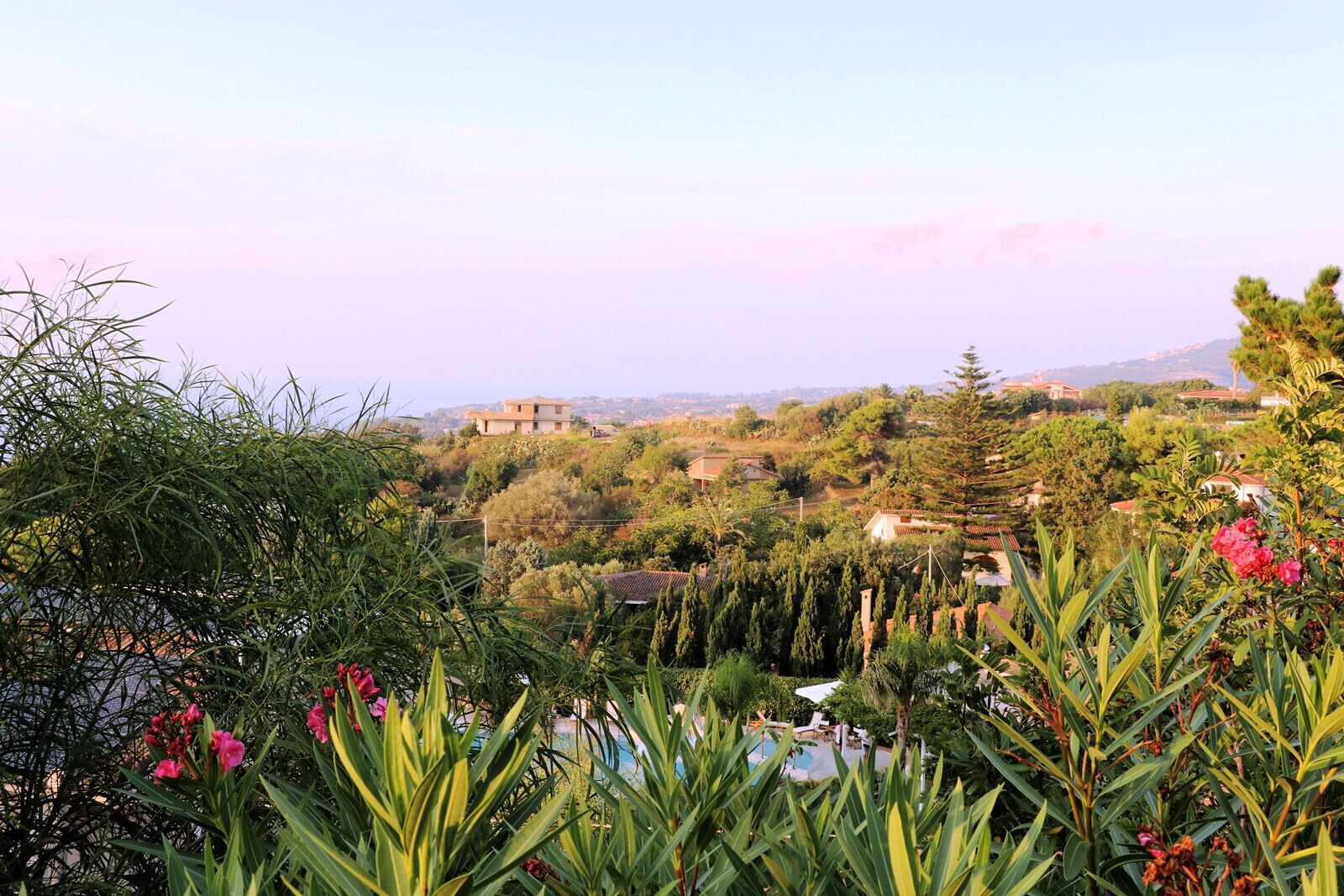 A residential area with houses, a swimming pool, and lush greenery.