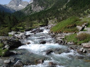 Une rivière qui traverse un paysage montagneux, caractérisé par un terrain rocheux et une forêt dense.