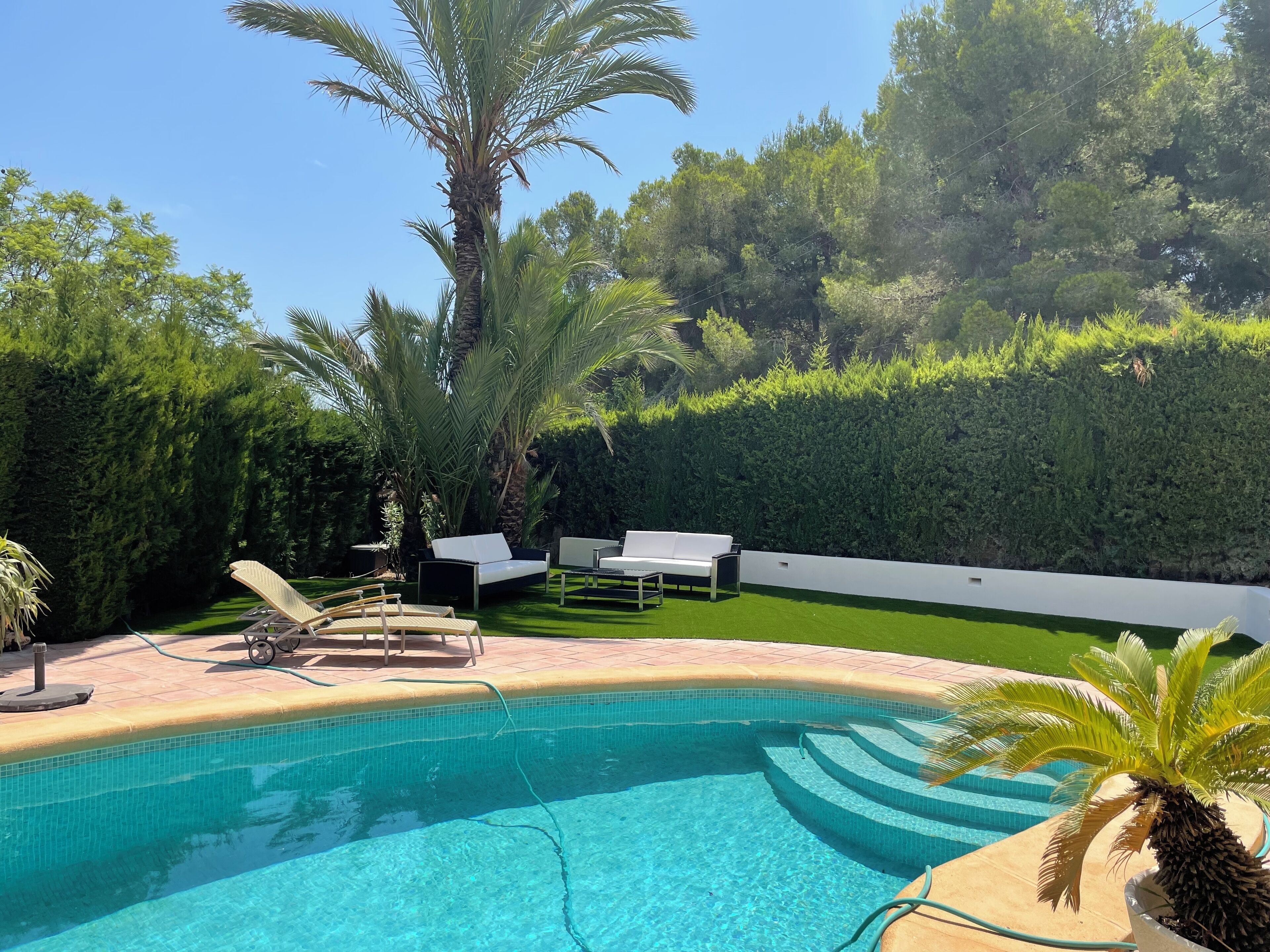 A swimming pool with a tiled edge, surrounded by a white wall and lush greenery, including palm trees and hedges.