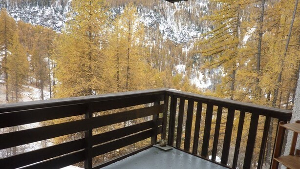 Ein Balkon mit Blick auf ein bewaldetes Gebiet im Herbstlaub.