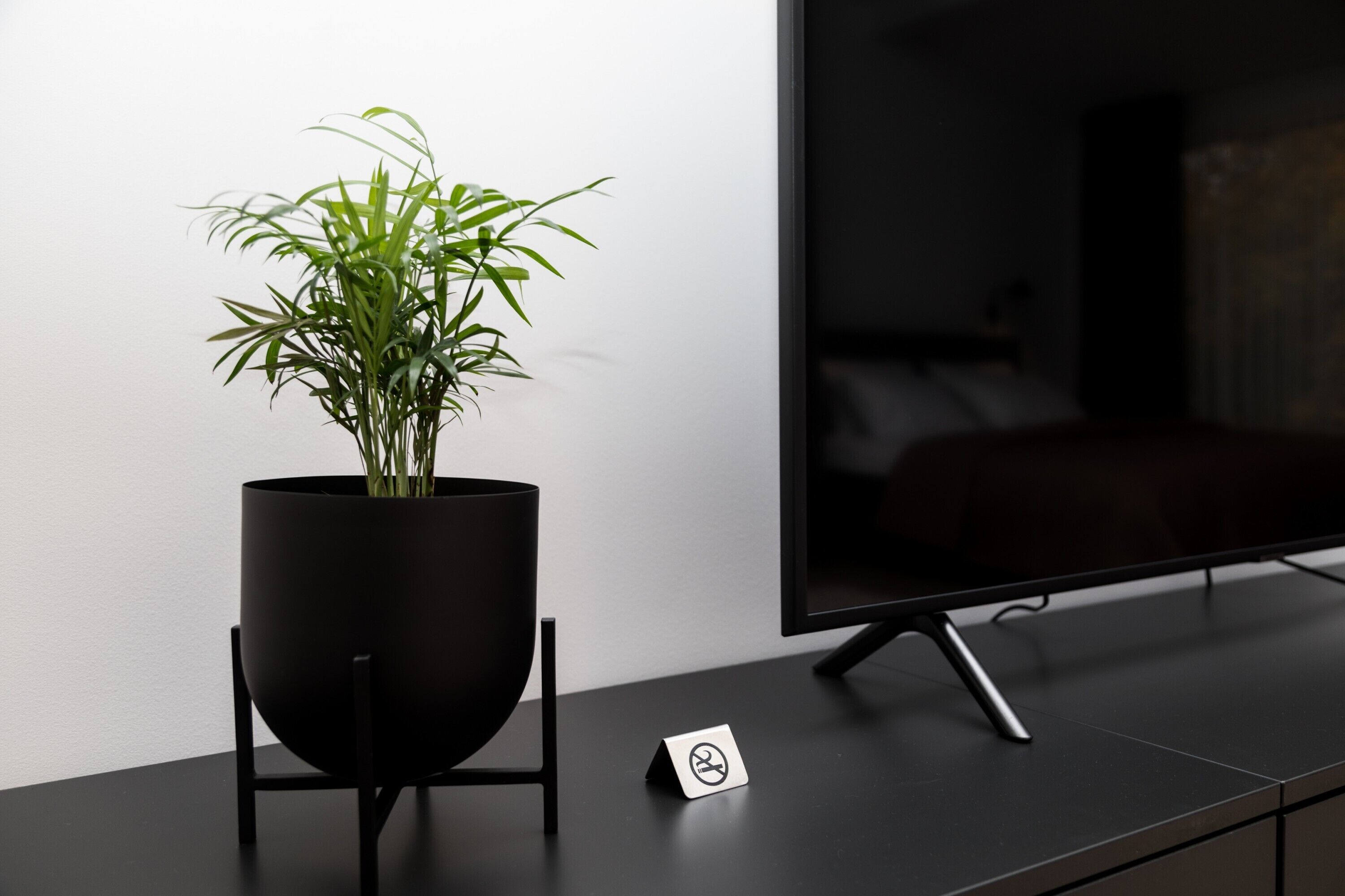 A modern living room with a large flat-screen TV, a black stand, and a potted plant.