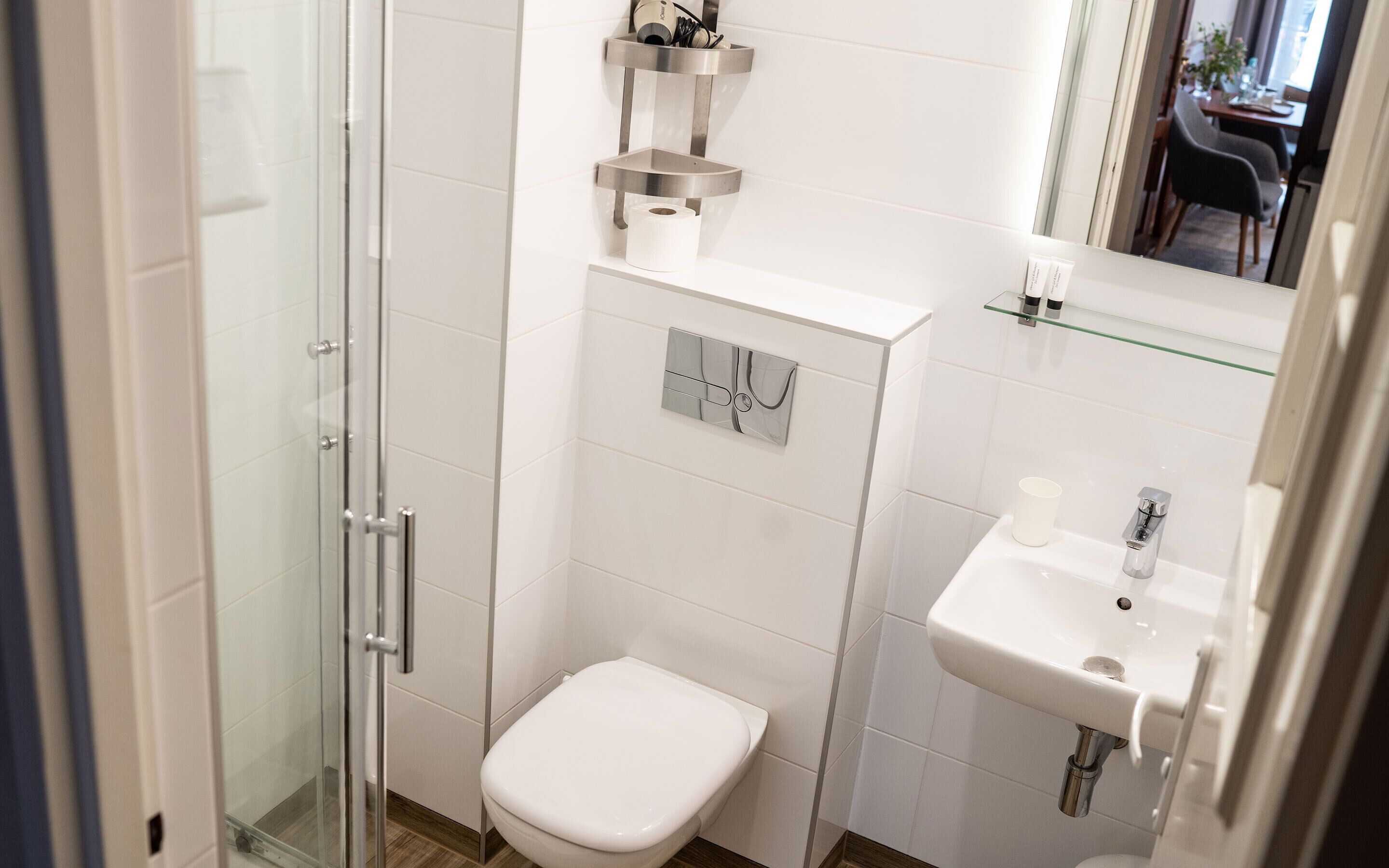 A modern bathroom with a glass shower enclosure, a white toilet, and a sink with a mirror above it.