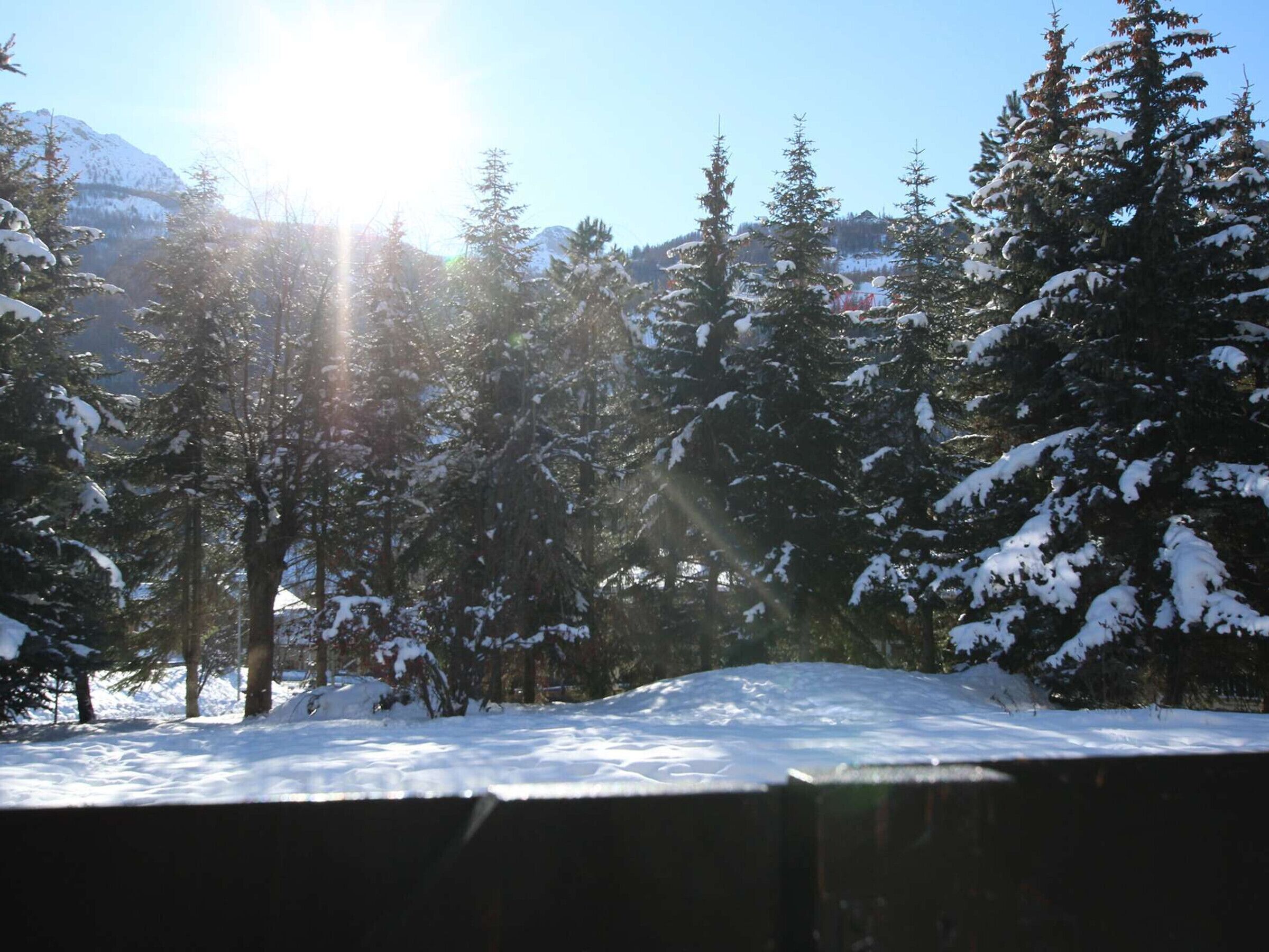 A snowy forest with evergreen trees and a mountain in the background.