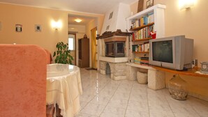 A living room with a fireplace, a television, and a bookshelf.
