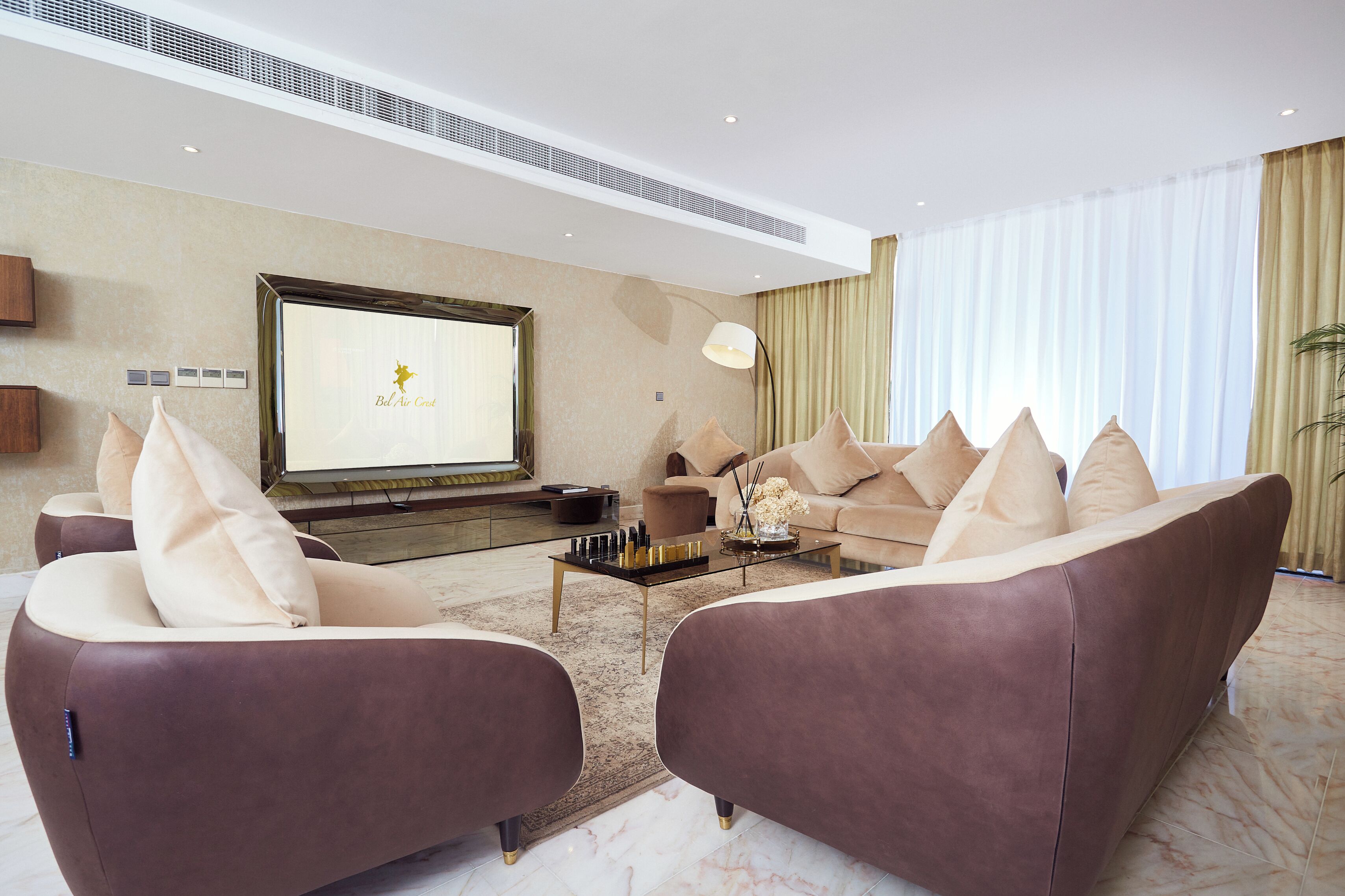 Suite – president | Oppholdsområde | En 50-tommers smart-TV med Parabol-TV