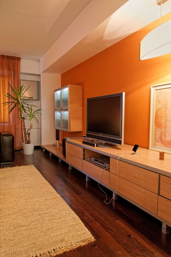A modern living room with a flat-screen TV, wooden cabinets, a potted plant, and a large rug.