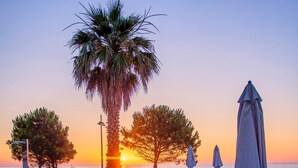 Zona junto a la piscina con sillas de descanso, una palmera y vistas al atardecer.