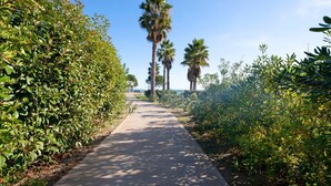 Un sendero bordeado por follaje denso y altas palmeras, que lleva a una vista distante.