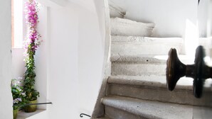 A staircase with a handrail, a potted plant with flowers, and a window with natural light.
