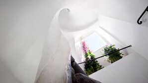 A staircase with a view of a window and plants.