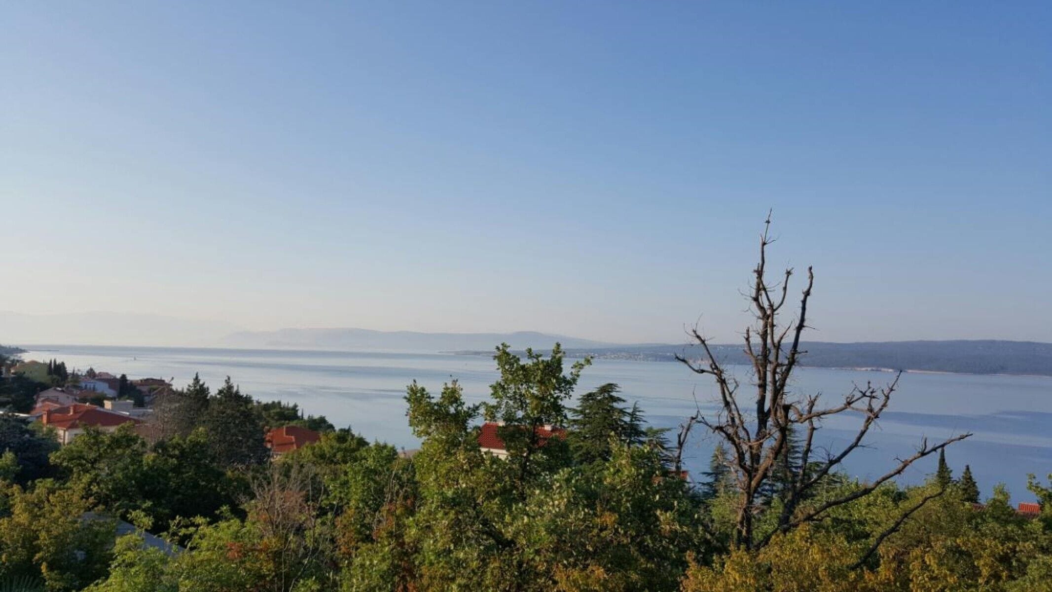 Une vue sur la côte, avec des maisons et des arbres.