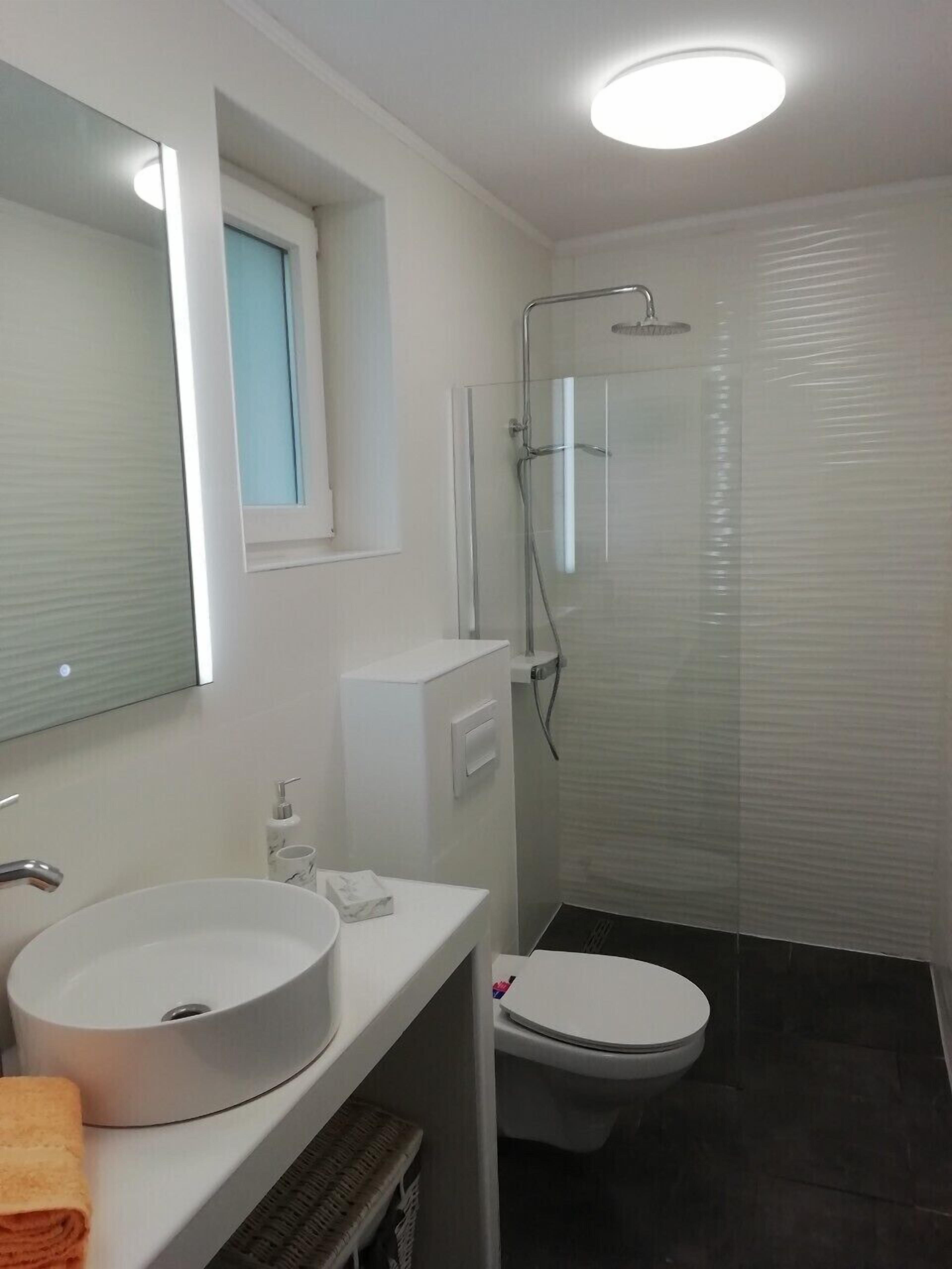 A modern bathroom with a white sink, a toilet, a glass shower enclosure, and a mirror above the sink.