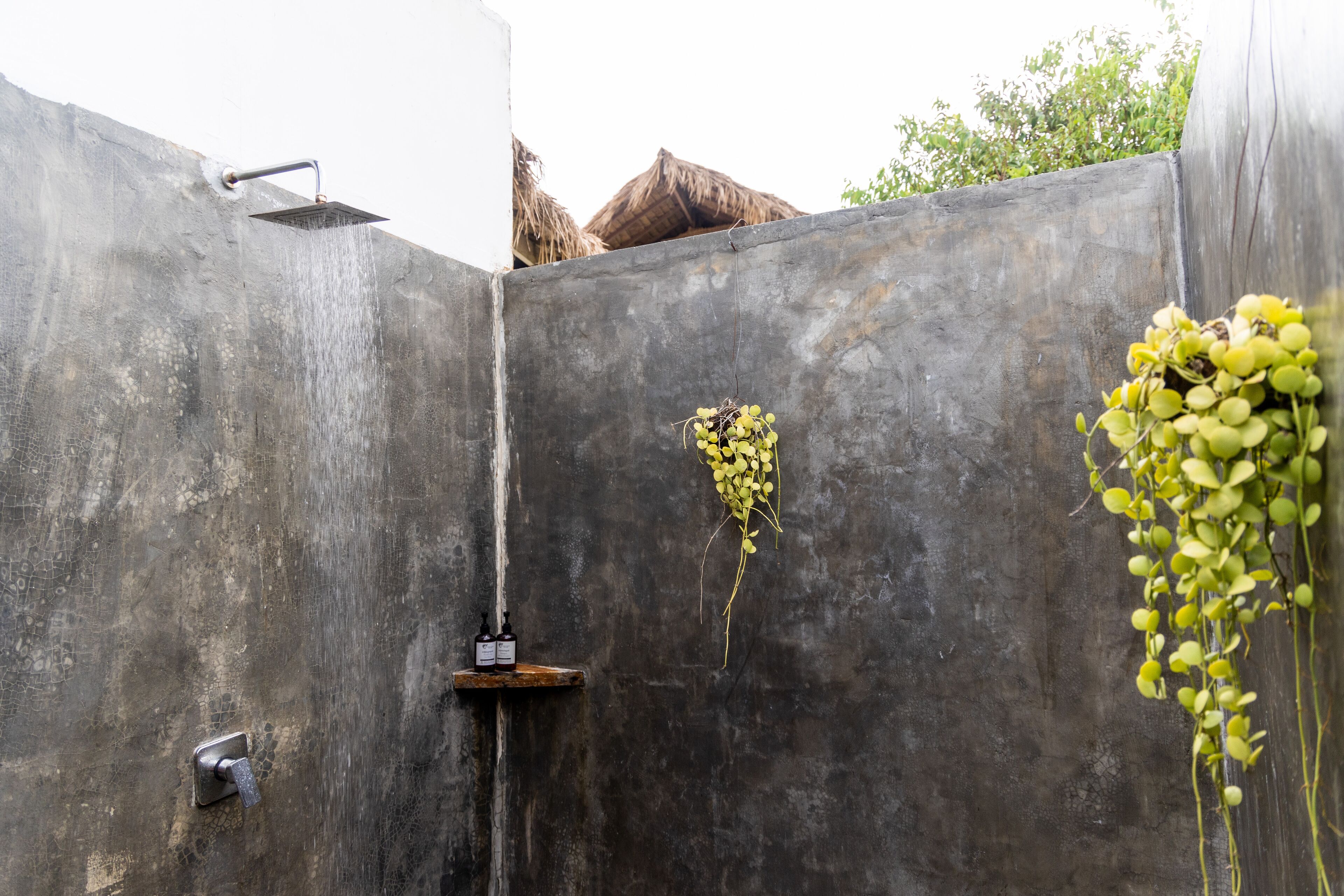 Pared de concreto con ducha integrada, un estante pequeño con botellas y parras colgantes.