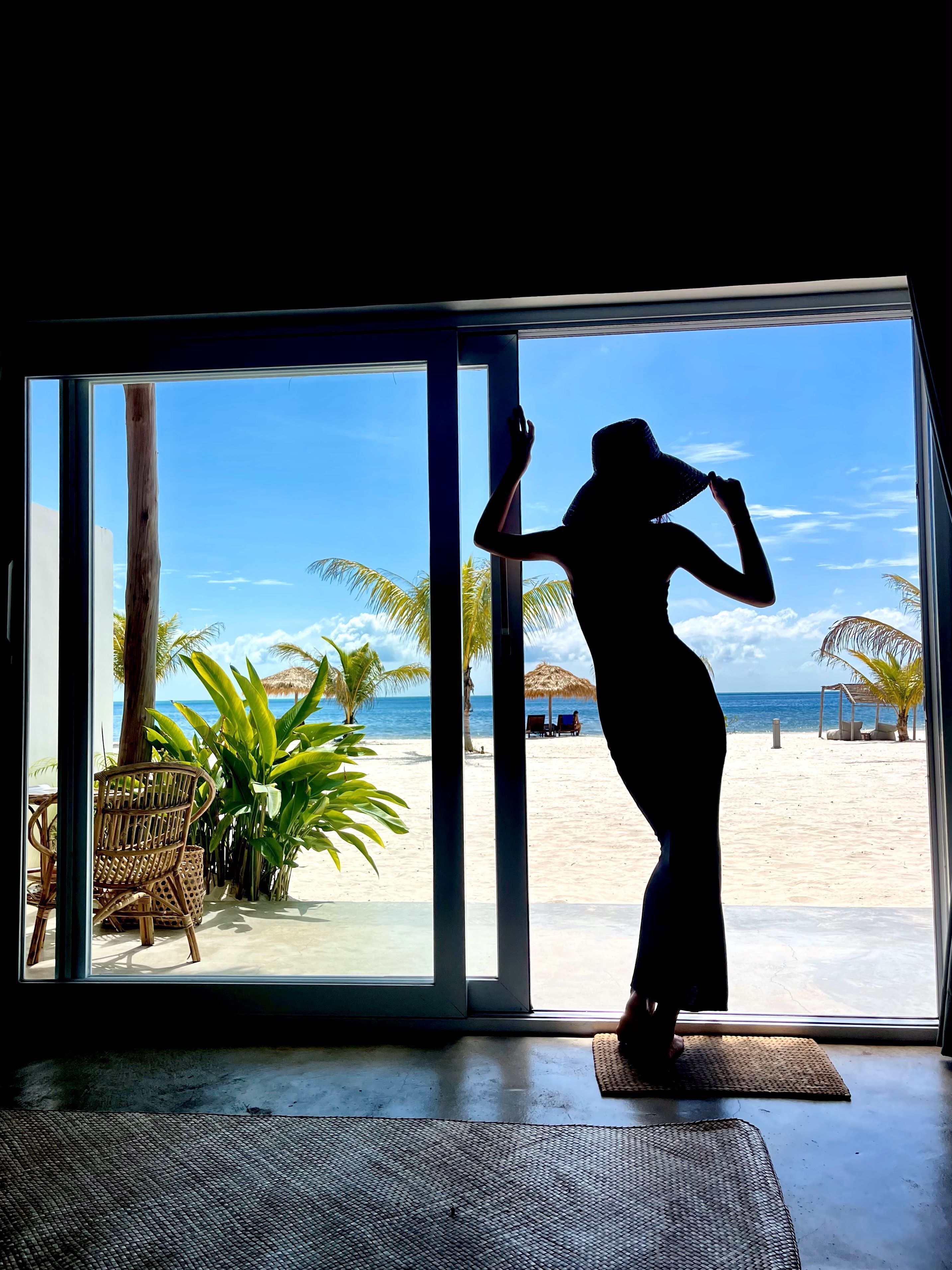 A silhouette of a person standing by a sliding glass door leading to a beach view.