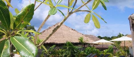 A pool area with lounge chairs and umbrellas, surrounded by tropical plants and a thatched-roof structure.