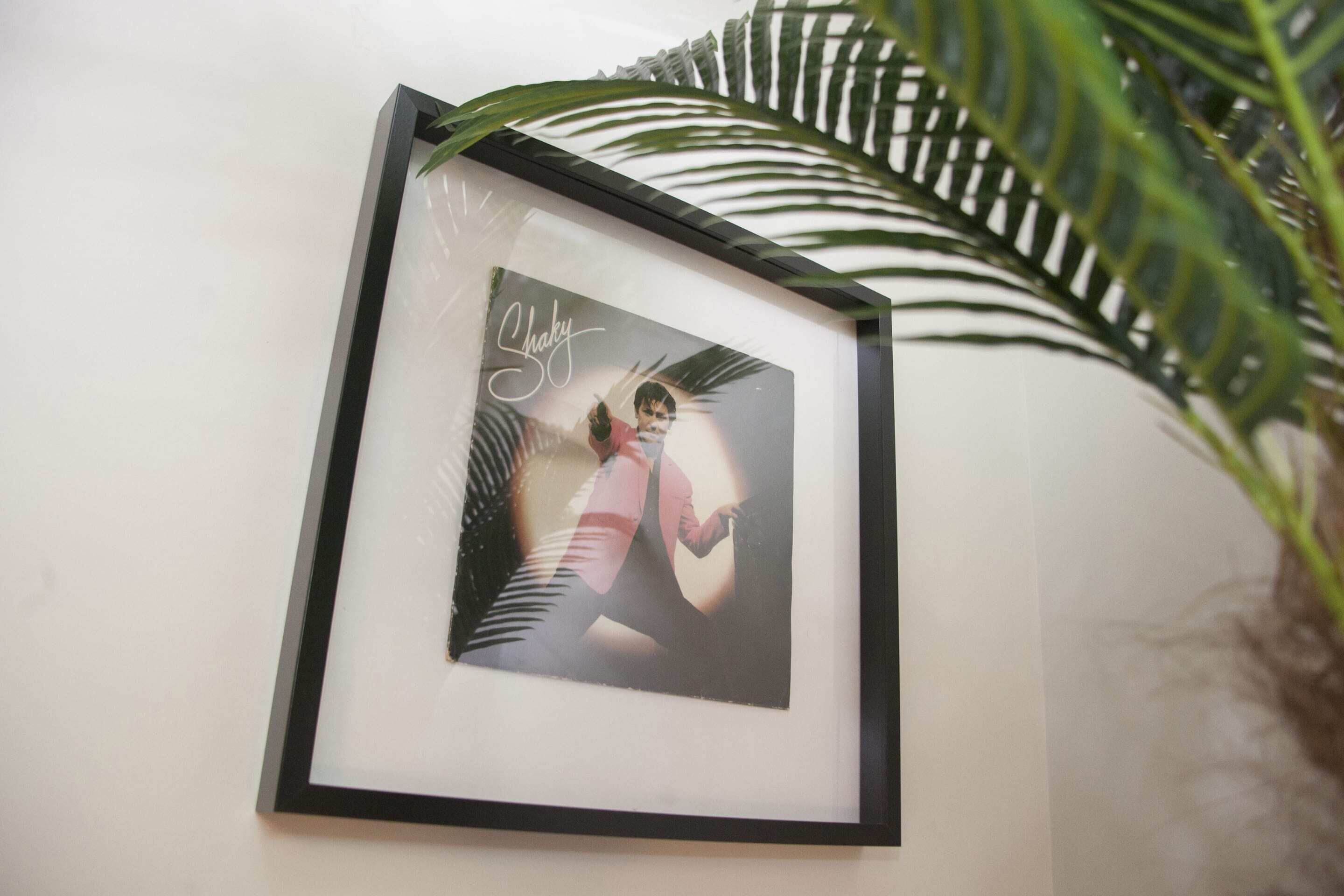 A framed photograph on a wall with a palm leaf in the foreground.